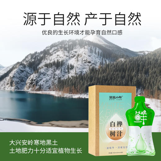 【自然之馈·鲜活养生】精选袋鼠小布白桦树汁纯净直饮  30ml*6袋/盒 商品图1