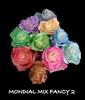 同城甄选厄瓜多尔进口MONDIAL MIX FANCY2蒙代尔混搭玫瑰花10支新品 商品缩略图4