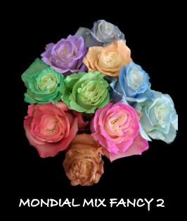 同城甄选厄瓜多尔进口MONDIAL MIX FANCY2蒙代尔混搭玫瑰花10支新品 商品图4