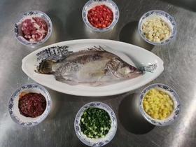 苗员外臭桂鱼～750克/条