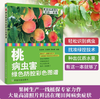 桃病虫害绿色防控彩色图谱【中国农业出版社官方正版】    张保常 王艳辉 贾峰勇 商品缩略图0