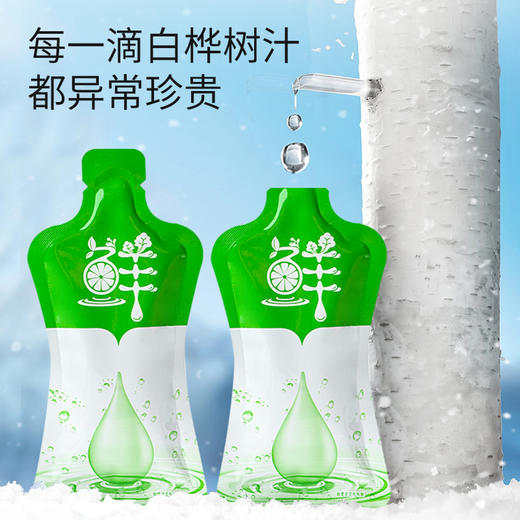 【自然之馈·鲜活养生】精选袋鼠小布白桦树汁纯净直饮  30ml*6袋/盒 商品图3