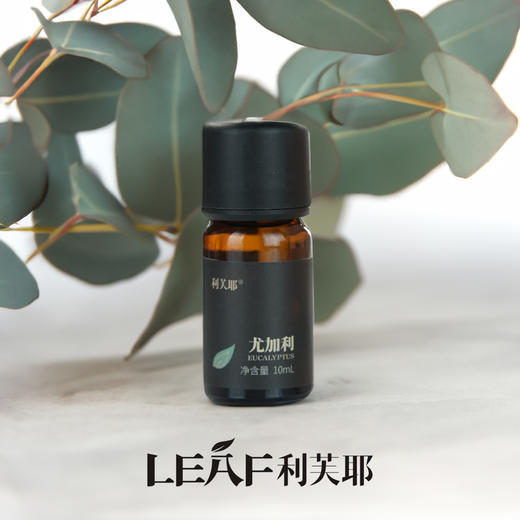 LEAF·利芙耶 尤加利单方精油10ml/瓶 商品图4