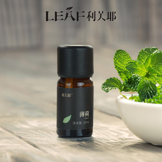LEAF·利芙耶 薄荷单方精油10ml/瓶 商品图2