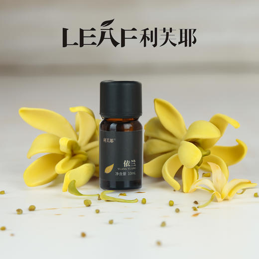 LEAF·利芙耶 依兰单方精油10ml/瓶 商品图2