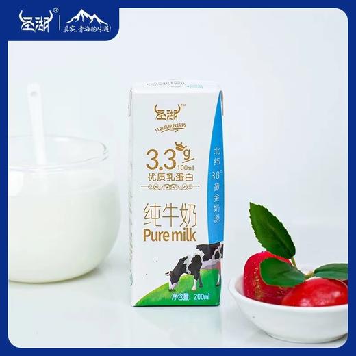 圣湖纯牛奶 商品图3