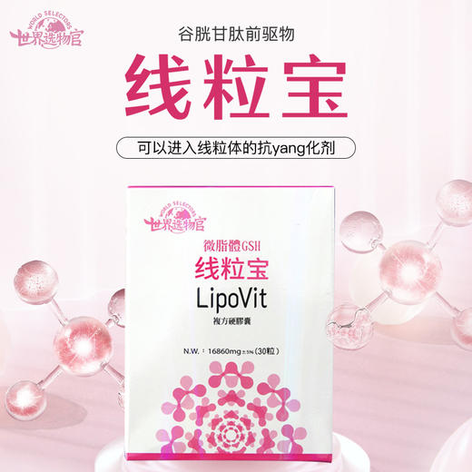 世界选物官线粒宝深睡眠30粒（谷胱甘肽谷氨酸，半胱氨酸，甘氨酸三合一） 商品图0