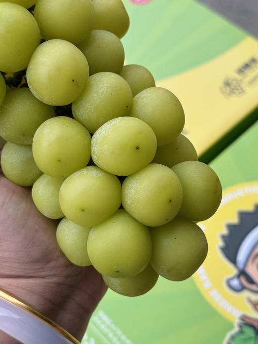 周二配送！源心阳光玫瑰晴王葡萄，口感脆甜，葡萄味浓！新货，一盒4斤净果，礼盒 商品图0