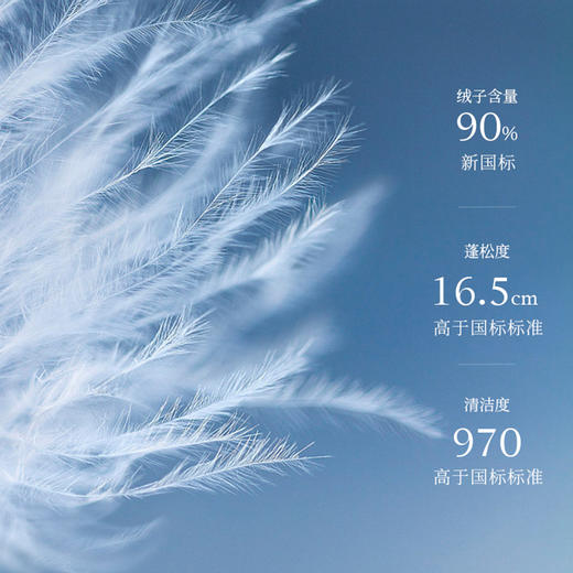 MAXRIENY名媛千金小香风羽绒服长款蝴蝶结廓形外套(货号:MS88DC505) 商品图2