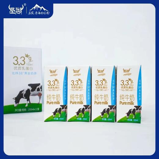圣湖纯牛奶 商品图0
