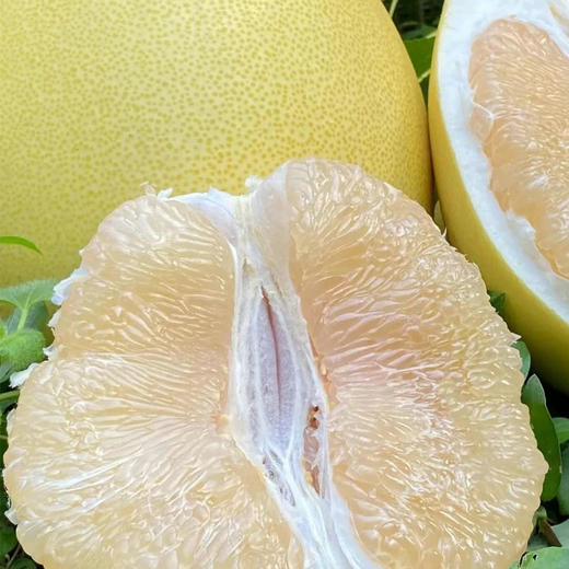 琯溪白心蜜柚 1个/约1600g 商品图1