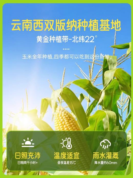 农有乐即食水果玉米段 商品图2