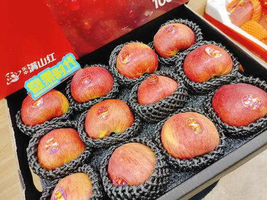 满山红苹果一箱 商品图0