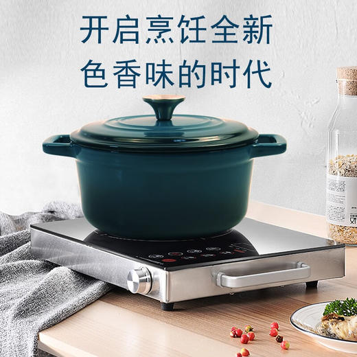 【小家电】康宁Revere幻彩系列珐琅锅绿色 HF 商品图3