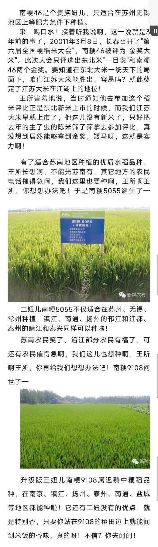现磨南梗香米9108/5055系列，5斤/20斤，江苏大米，只销售江浙沪皖地区 商品图6