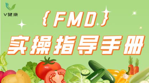 FMD实操指导手册 商品图0