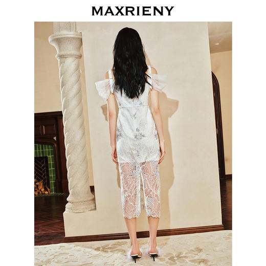 【英式雅皮士-商场同款】MAXRIENY复古优雅蕾丝刺绣连衣裙2024春(货号:MC85DR080) 商品图3