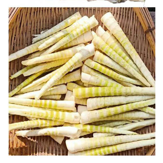 有机方竹笋笋尖 商品图3