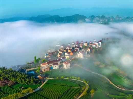 氧气旅行团—山海经奇“奇幻之旅” 商品图1