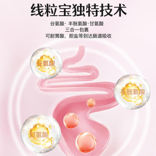 世界选物官线粒宝深睡眠30粒（谷胱甘肽谷氨酸，半胱氨酸，甘氨酸三合一） 商品图2