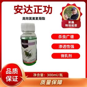 功夫菊酯  5%高效氯氟氰菊酯  安达正功