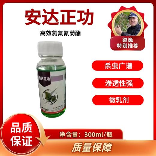 功夫菊酯  5%高效氯氟氰菊酯  安达正功 商品图0