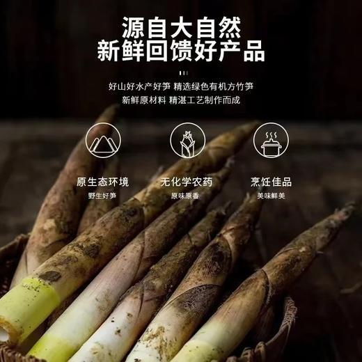 有机方竹笋笋尖 商品图12