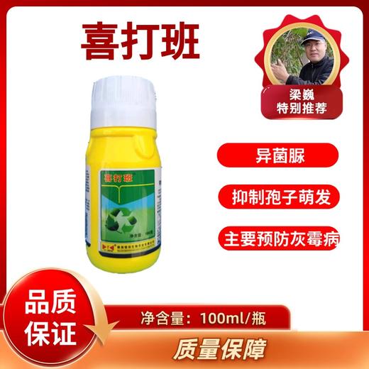 喜打班    异菌脲   悬浮剂   100毫升/瓶 商品图0