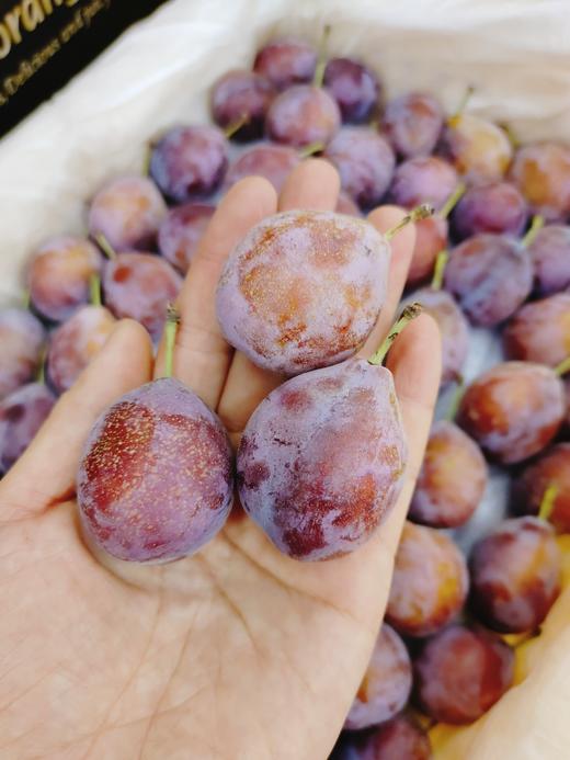 大箱西梅一箱 商品图1