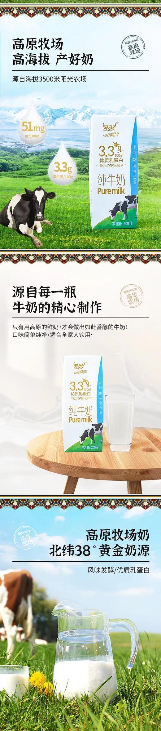 圣湖纯牛奶 商品图4