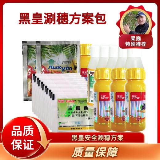 黑皇葡萄保果膨大方案 商品图0