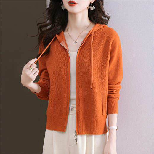 CC 101-96928早秋季宽松休闲连帽外搭针织衫 商品图0