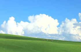 为何本命年要穿红？“运势低迷”中又藏着哪些健康知识