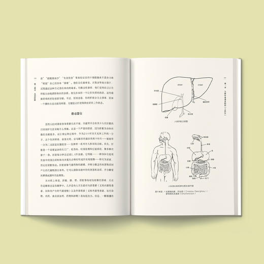 《瘦肝》 商品图3