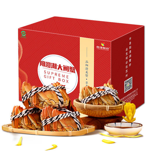 【签收超8小时死蟹不包赔，售后请在线反馈】鲜知臻食*阳澄股份大闸蟹荣品级 商品图0