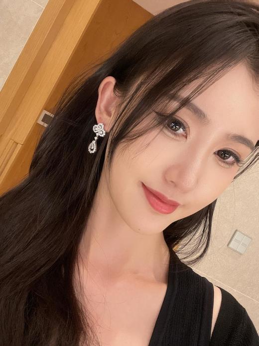 海瑞温斯顿HW花园系列钻石长款耳钉（SLB） 商品图12