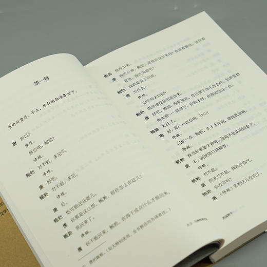 拜金一族：大卫·马梅特剧作集 （守望者·戏剧）//普利策戏剧奖获奖剧作家作品集 商品图4