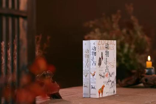 新民说·动物寻古:在生肖中发现中国 袁靖/著 商品图4