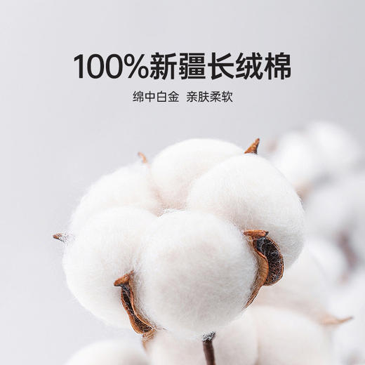 洁丽雅敦煌纯棉洗脸巾纯棉一次性加厚洁面巾棉柔巾美容擦脸巾加大 商品图1