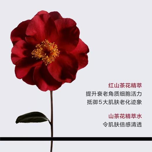 香奈儿CHANEL一号红色之水淡香红山茶花香氛（SLB） 商品图5