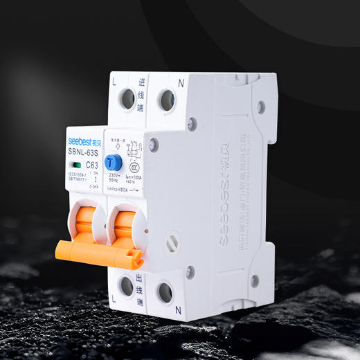 DPN 漏电 SBNL-63S(小体积) C型/2P系列 商品图1