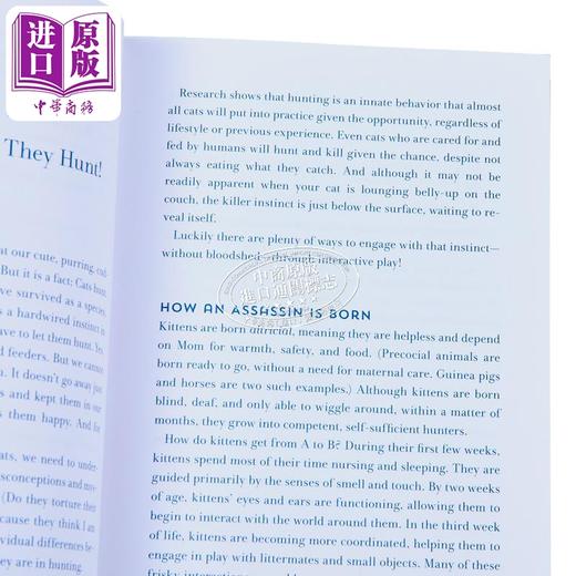 【中商原版】玩你的猫 互动玩耍指南让你的猫更快乐更健康 Play With Your Cat 英文原版 Mikel Maria Delgado 生活休闲 商品图2