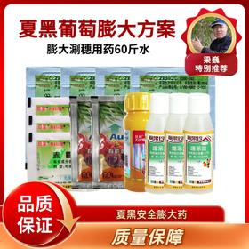 夏黑葡萄膨大方案