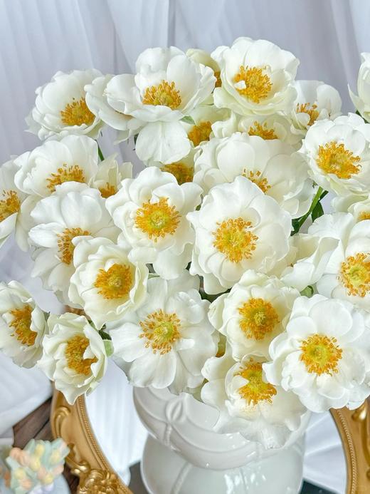 多头玫瑰花婚纱10支 商品图6