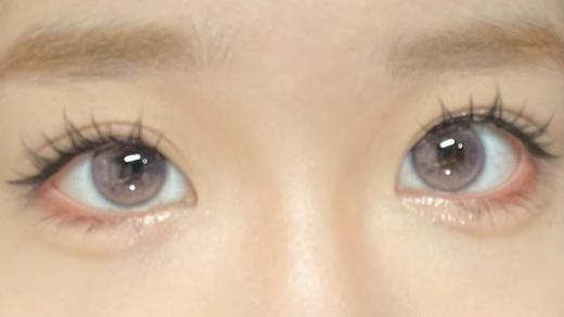 Sugarplum糖豆家半年抛-普罗旺斯 商品图1