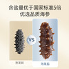 同仁堂（TRT）北京同仁堂大连淡干海参辽参105g27-32只海参干货SY 商品缩略图5