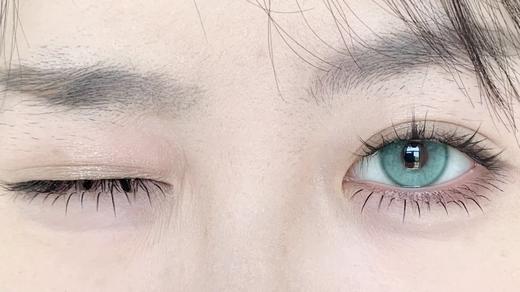 Sugarplum糖豆家半年抛-猫爪麻薯 商品图12