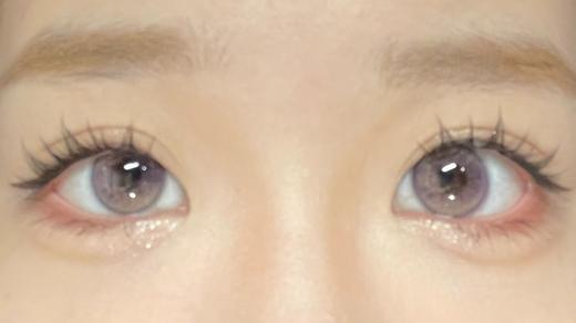 Sugarplum糖豆家半年抛-普罗旺斯 商品图4