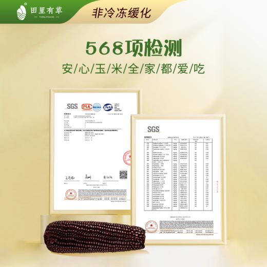 田里有草黑糯玉米 150g*8 每箱8只 商品图2