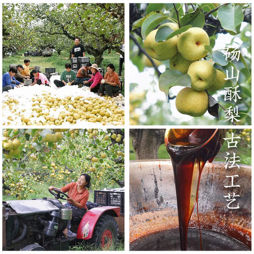 纯梨膏儿童棒棒糖一盒70g（7g*10支） 商品图1